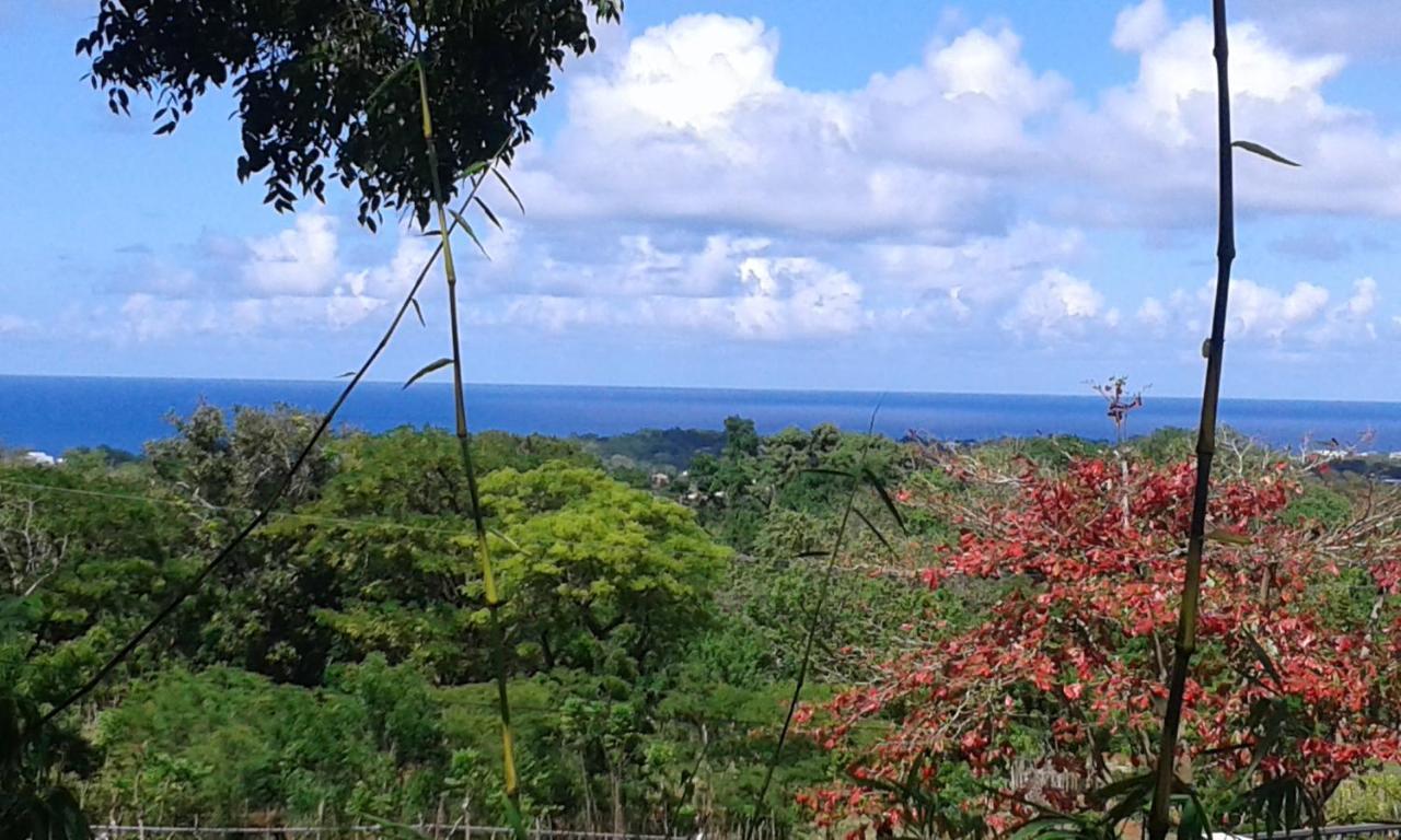 B&B El Mirador Al Mar Sosúa エクステリア 写真