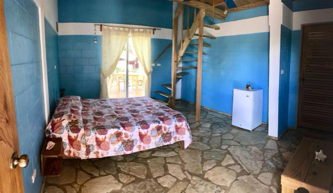 B&B El Mirador Al Mar Sosúa エクステリア 写真
