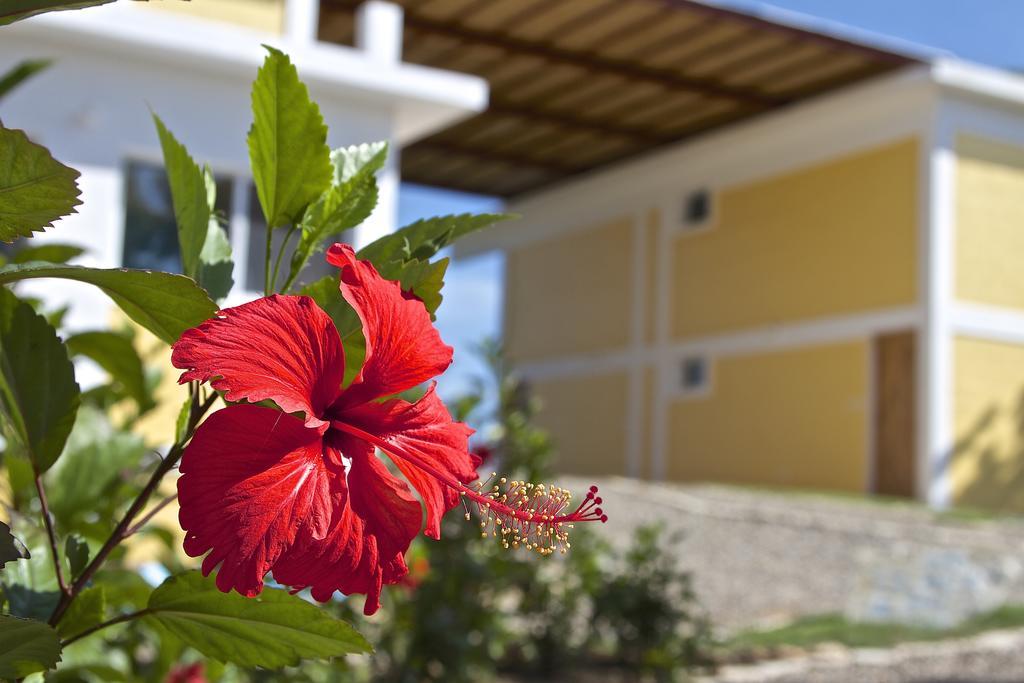 B&B El Mirador Al Mar Sosúa エクステリア 写真