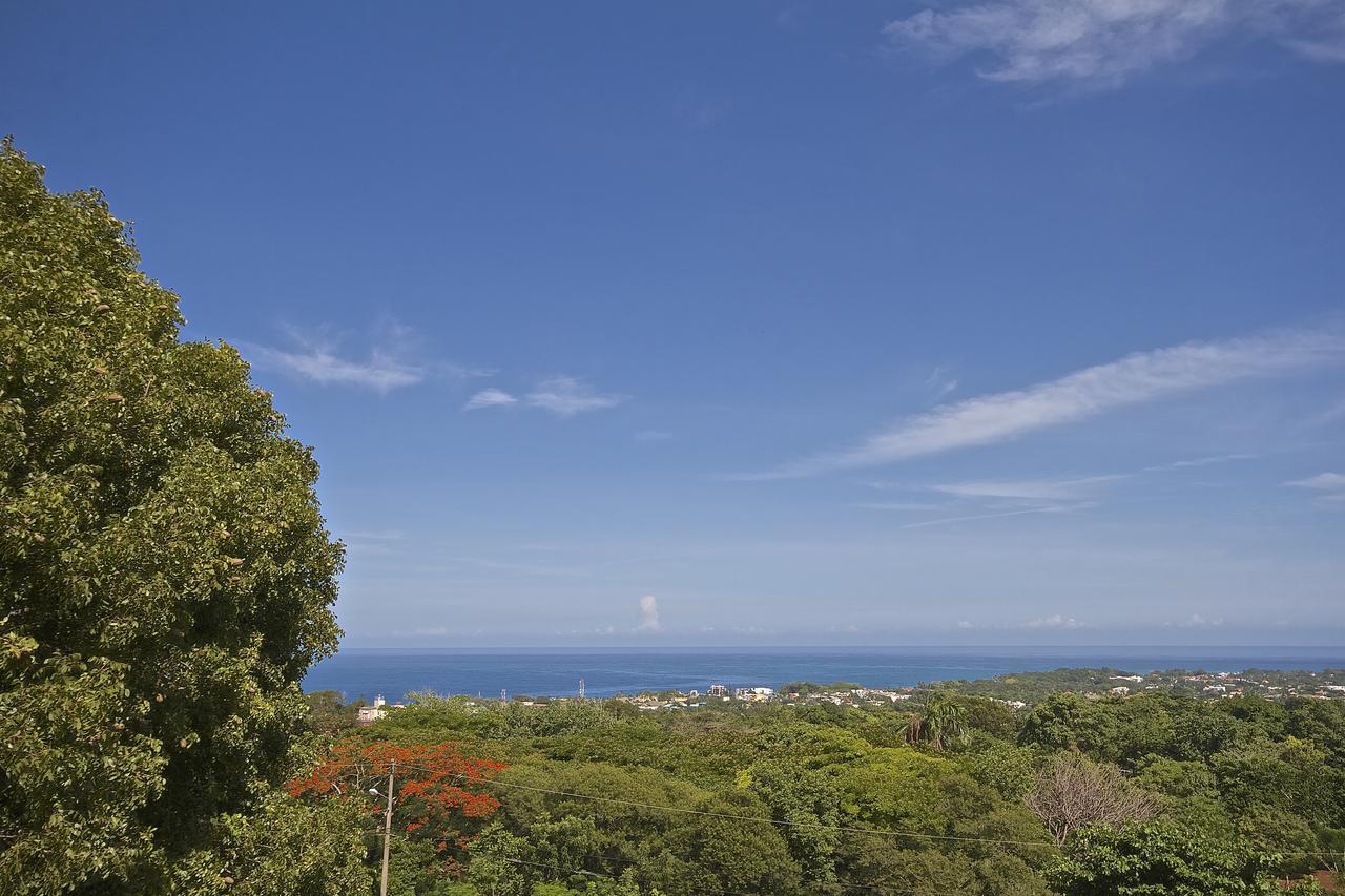 B&B El Mirador Al Mar Sosúa エクステリア 写真