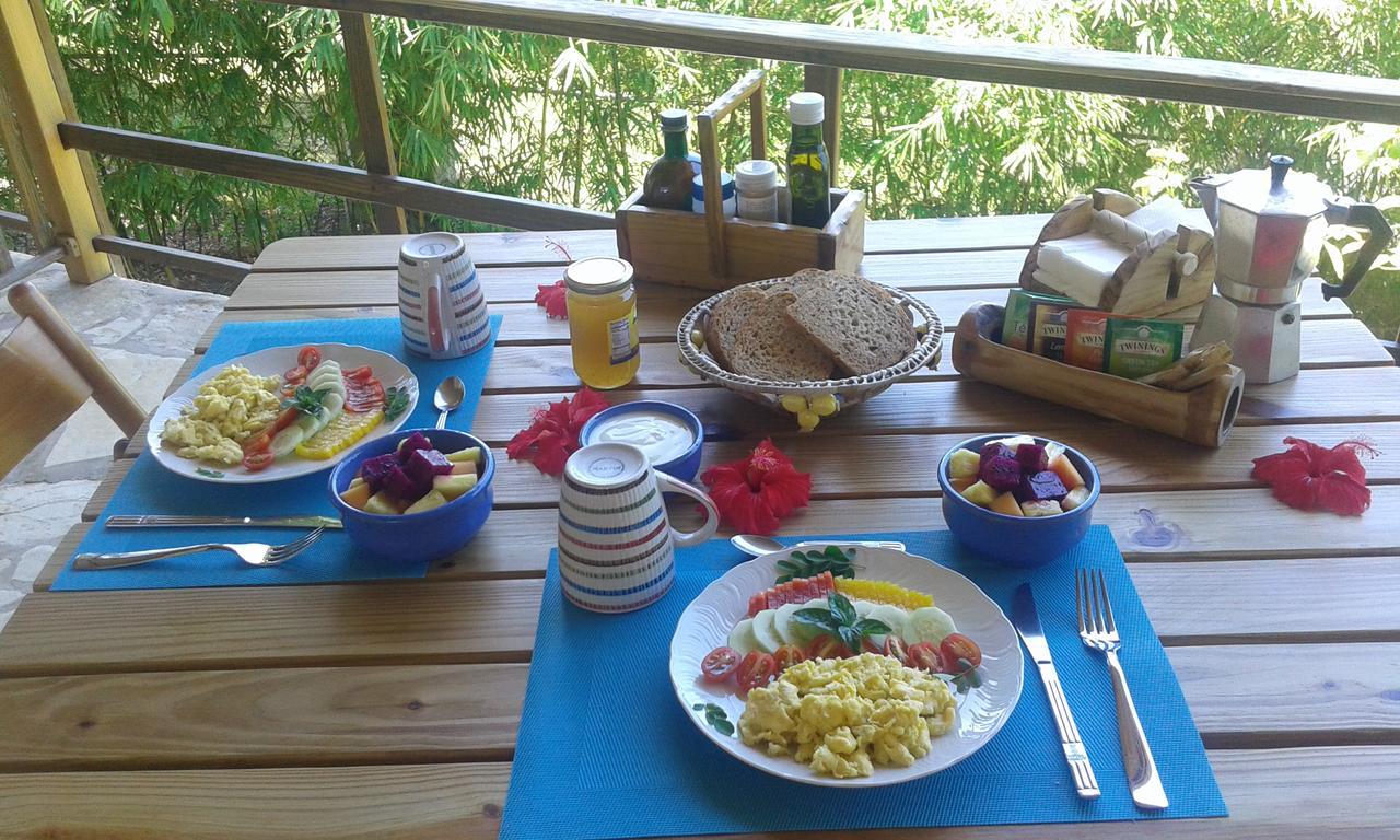 B&B El Mirador Al Mar Sosúa エクステリア 写真
