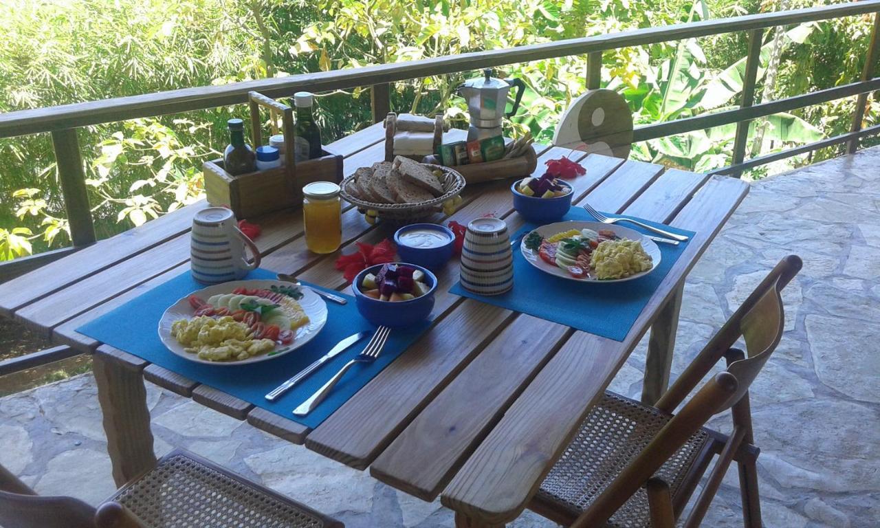 B&B El Mirador Al Mar Sosúa エクステリア 写真