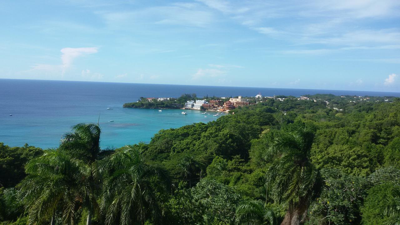 B&B El Mirador Al Mar Sosúa エクステリア 写真