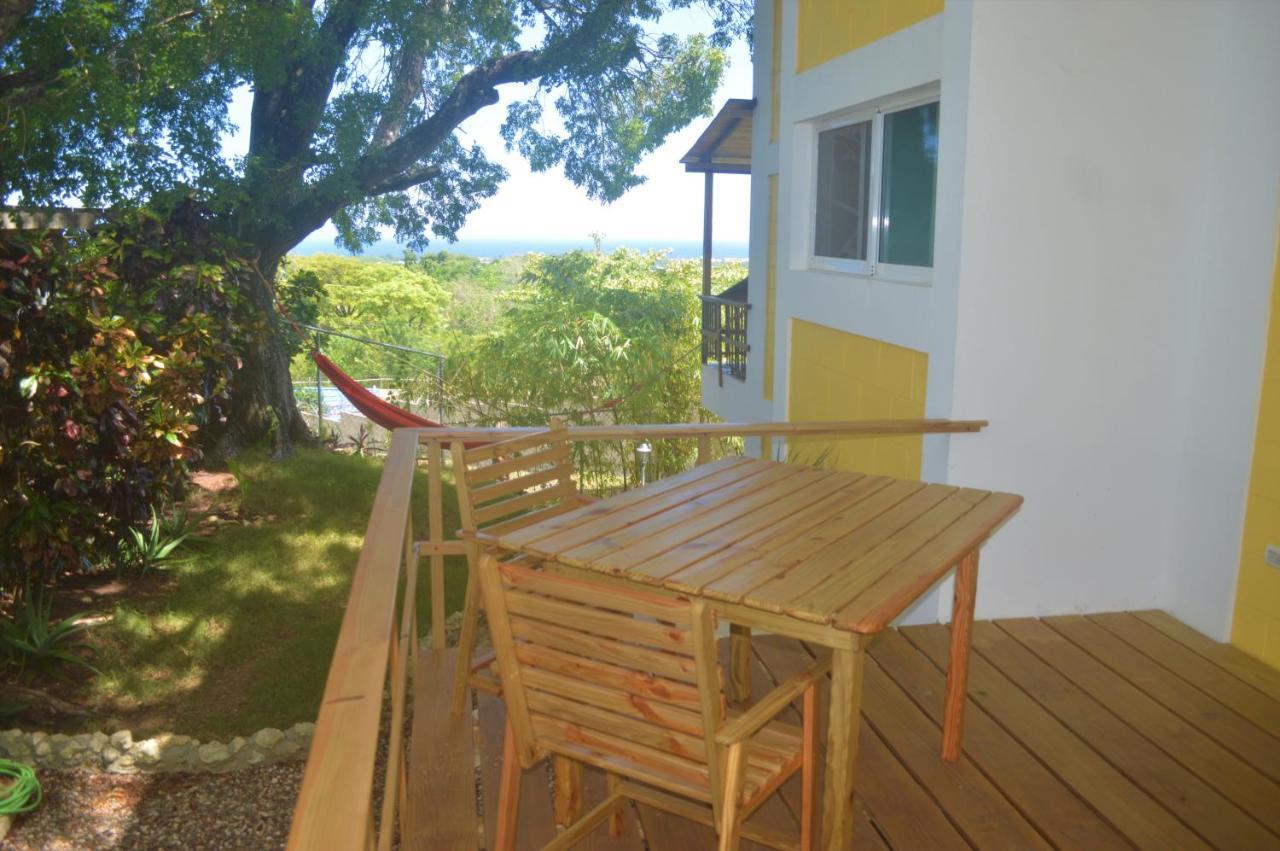 B&B El Mirador Al Mar Sosúa エクステリア 写真
